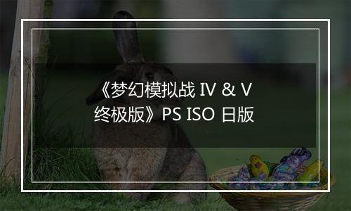 《梦幻模拟战 IV & V 终极版》PS ISO 日版