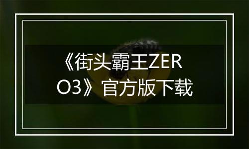 《街头霸王ZERO3》官方版下载
