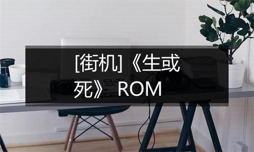[街机]《生或死》 ROM