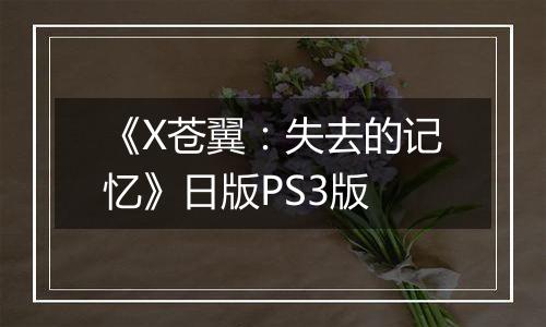 《X苍翼：失去的记忆》日版PS3版