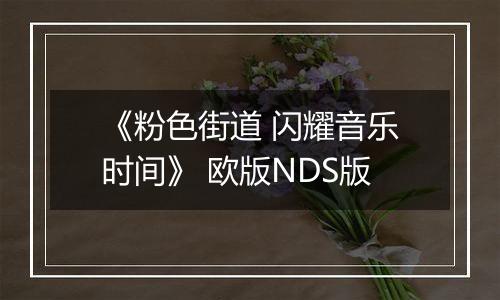 《粉色街道 闪耀音乐时间》 欧版NDS版