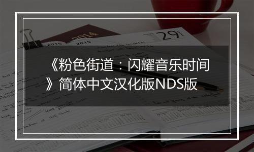 《粉色街道：闪耀音乐时间》简体中文汉化版NDS版