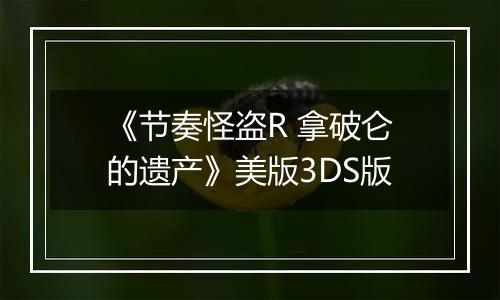 《节奏怪盗R 拿破仑的遗产》美版3DS版
