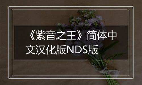 《紫音之王》简体中文汉化版NDS版