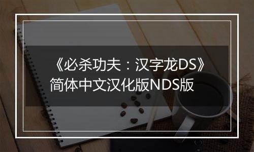 《必杀功夫：汉字龙DS》简体中文汉化版NDS版