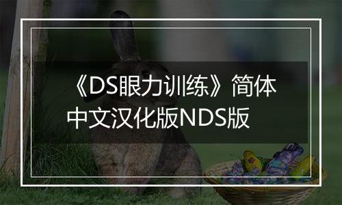 《DS眼力训练》简体中文汉化版NDS版