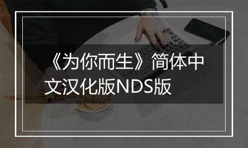 《为你而生》简体中文汉化版NDS版